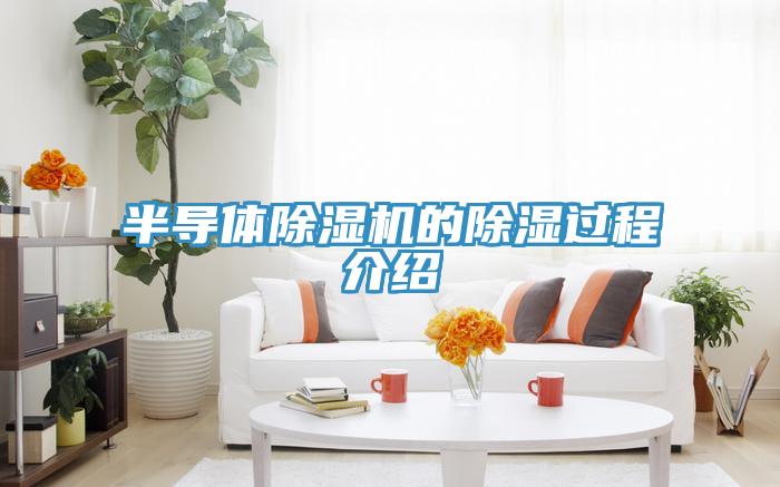 半导体抖音成人版下载的除湿过程介绍