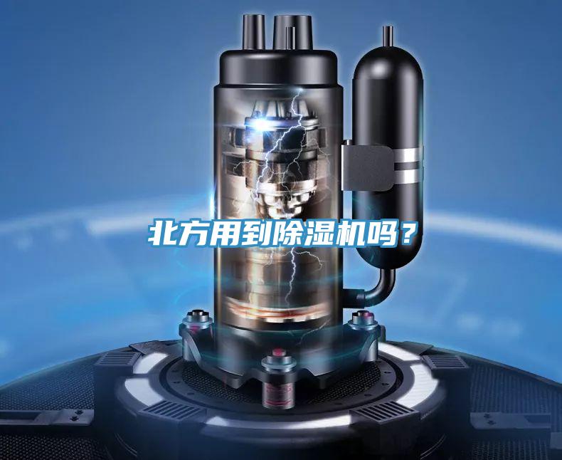 北方用到抖音成人版下载吗？