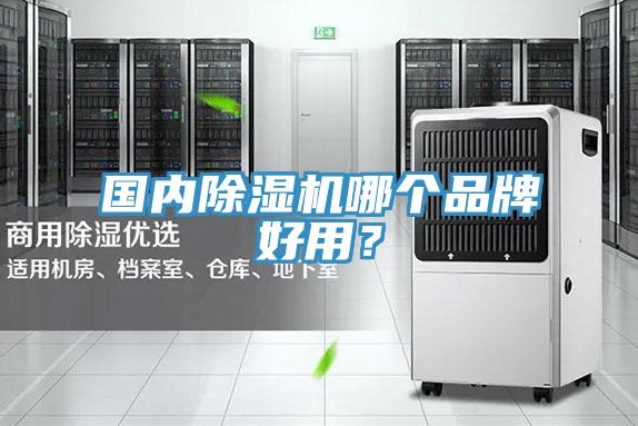 国内抖音成人版下载哪个品牌好用？