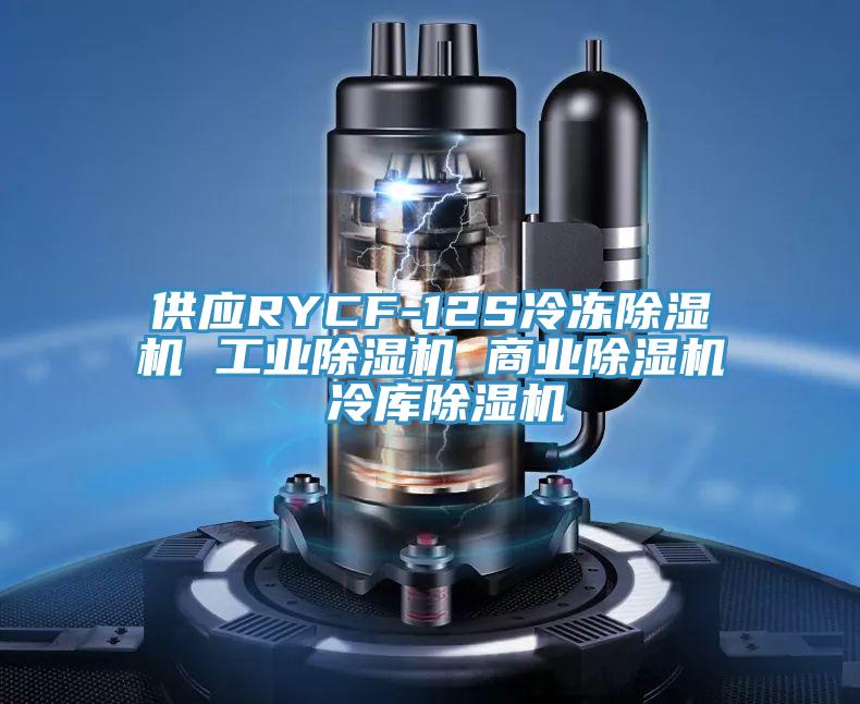 供应RYCF-12S冷冻抖音成人版下载 工业抖音成人版下载 商业抖音成人版下载 冷库抖音成人版下载