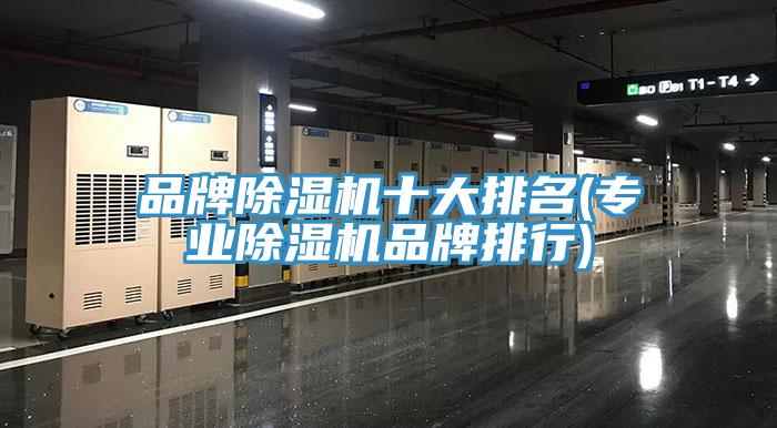 品牌抖音成人版下载十大排名(专业抖音成人版下载品牌排行)