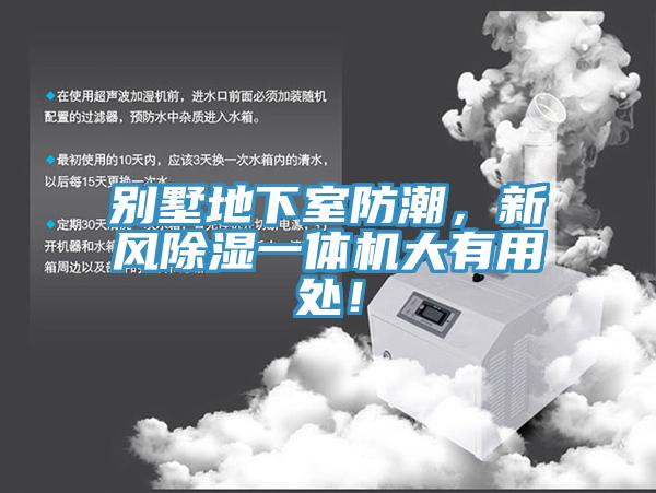 别墅地下室防潮，新风除湿一体机大有用处！