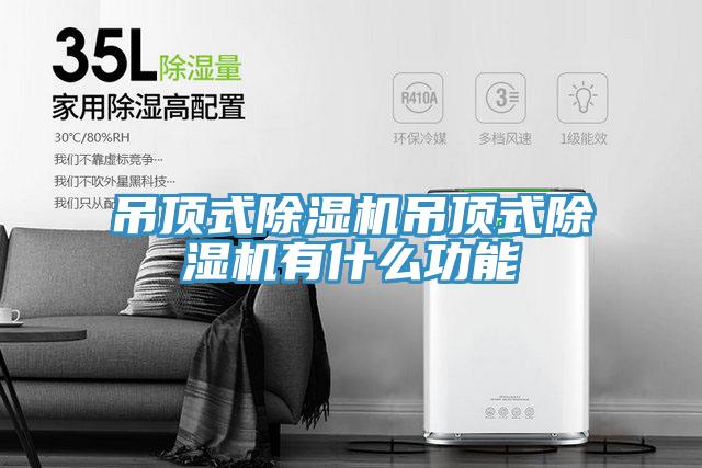 吊顶式抖音成人版下载吊顶式抖音成人版下载有什么功能