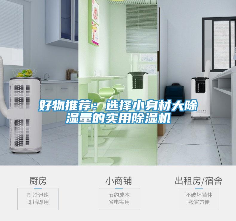 好物推荐：选择小身材大除湿量的实用抖音成人版下载