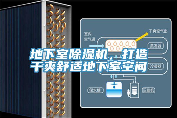 地下室抖音成人版下载，打造干爽舒适地下室空间