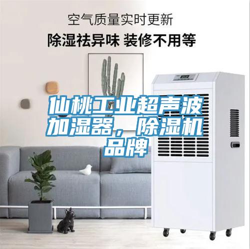 仙桃工业超声波加湿器，抖音成人版下载品牌