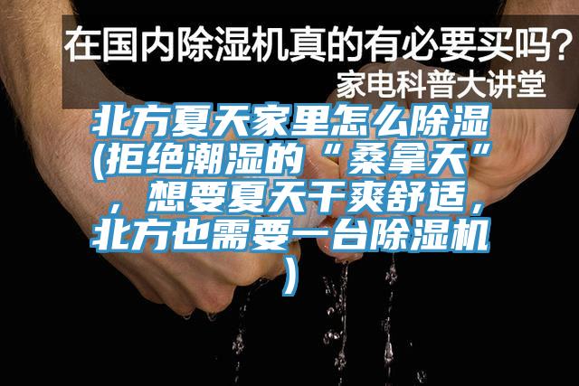 北方夏天家里怎么除湿(拒绝潮湿的“桑拿天”，想要夏天干爽舒适，北方也需要一台抖音成人版下载)