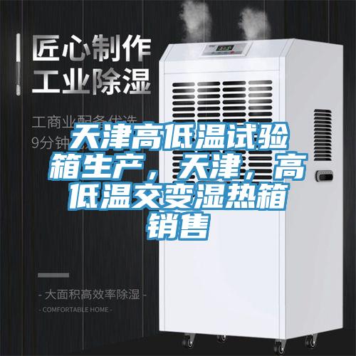 天津高低温试验箱生产，天津，高低温交变湿热箱销售