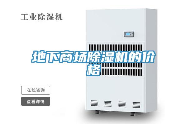 地下商场抖音成人版下载的价格