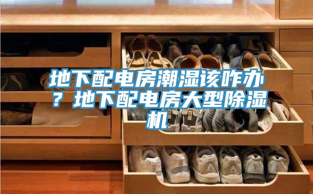 地下配电房潮湿该咋办？地下配电房大型抖音成人版下载