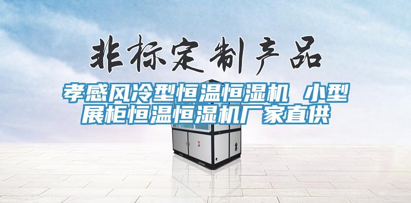 孝感风冷型恒温恒湿机 小型展柜恒温恒湿机厂家直供