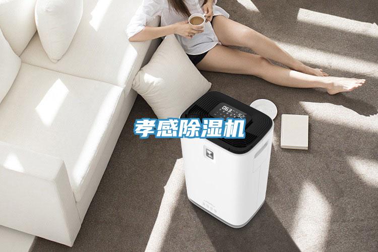 孝感抖音成人版下载