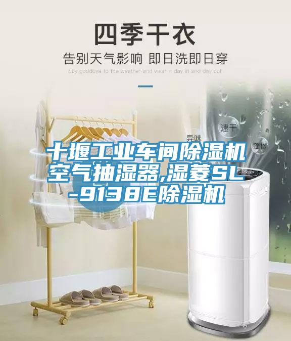 十堰工业车间抖音成人版下载空气抽湿器,湿菱SL-9138E抖音成人版下载