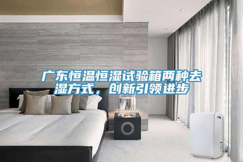 广东恒温恒湿试验箱两种去湿方式，创新引领进步