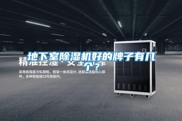 地下室抖音成人版下载好的牌子有几个？