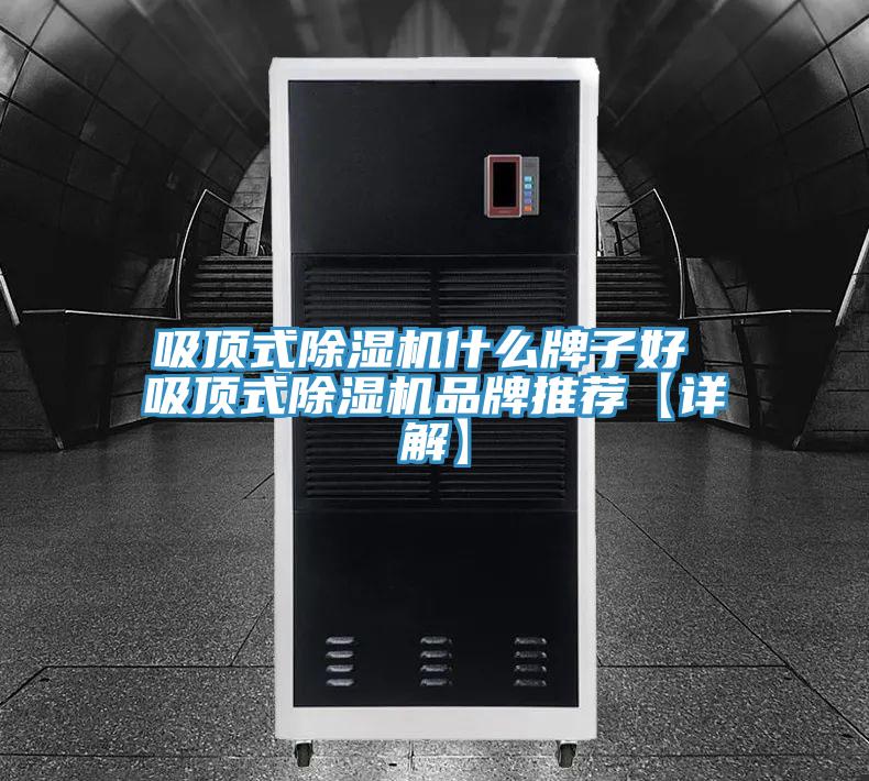 吸顶式抖音成人版下载什么牌子好 吸顶式抖音成人版下载品牌推荐【详解】