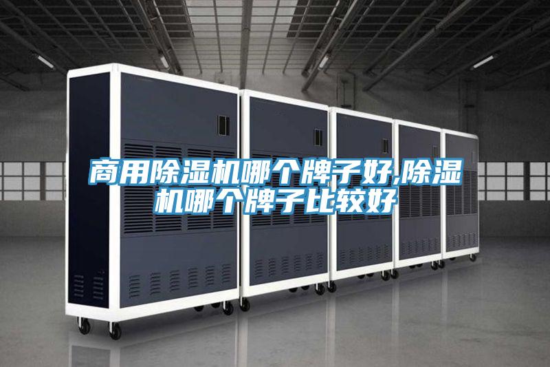 商用抖音成人版下载哪个牌子好,抖音成人版下载哪个牌子比较好