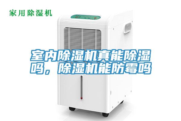 室内抖音成人版下载真能除湿吗，抖音成人版下载能防霉吗