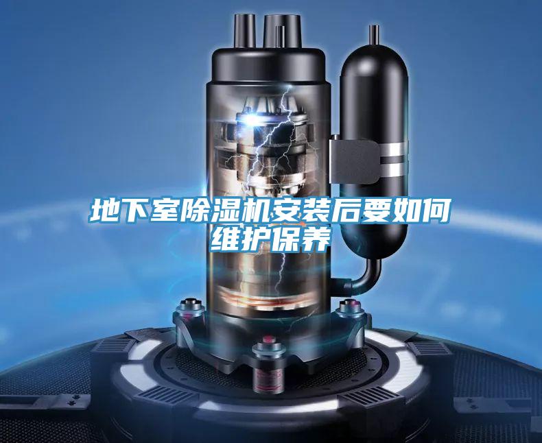 地下室抖音成人版下载安装后要如何维护保养