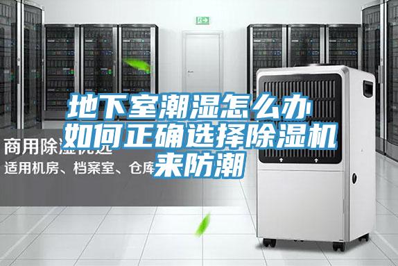 地下室潮湿怎么办 如何正确选择抖音成人版下载来防潮