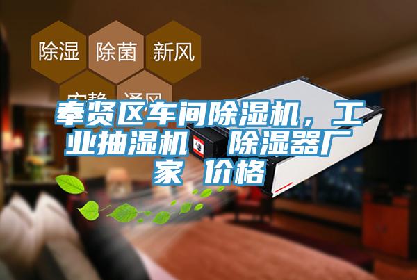 奉贤区车间抖音成人版下载，工业抽湿机  除湿器厂家 价格