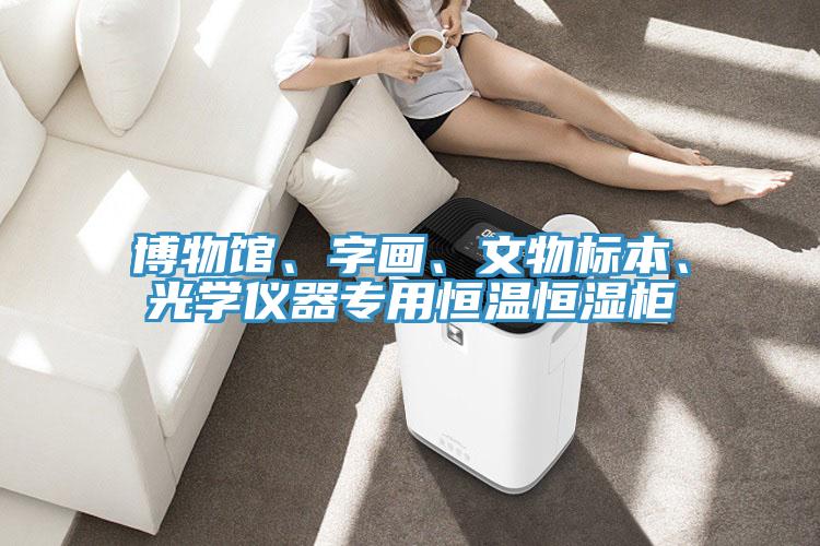 博物馆、字画、文物标本、光学仪器专用恒温恒湿柜