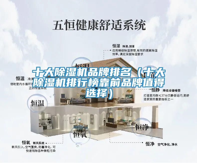 十大抖音成人版下载品牌排名（十大抖音成人版下载排行榜靠前品牌值得选择）