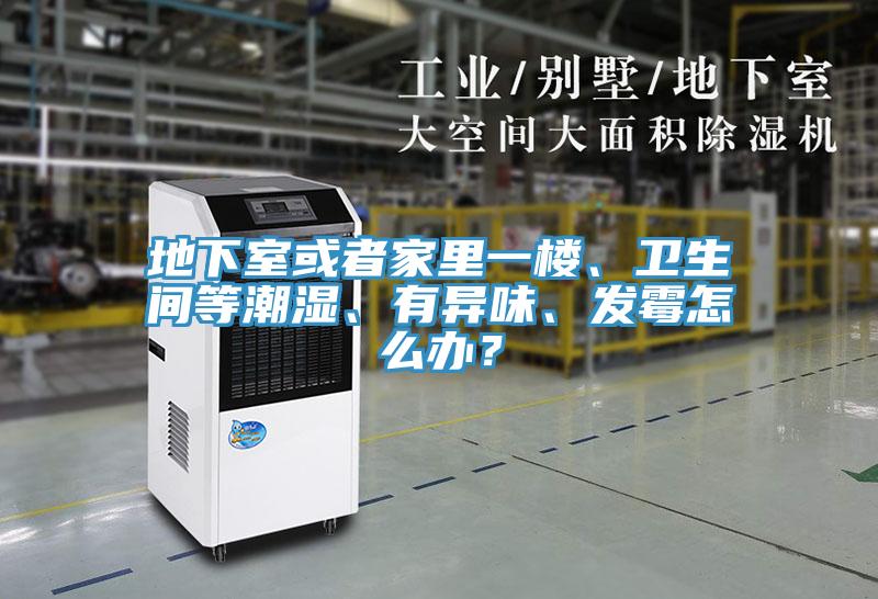 地下室或者家里一楼、卫生间等潮湿、有异味、发霉怎么办？