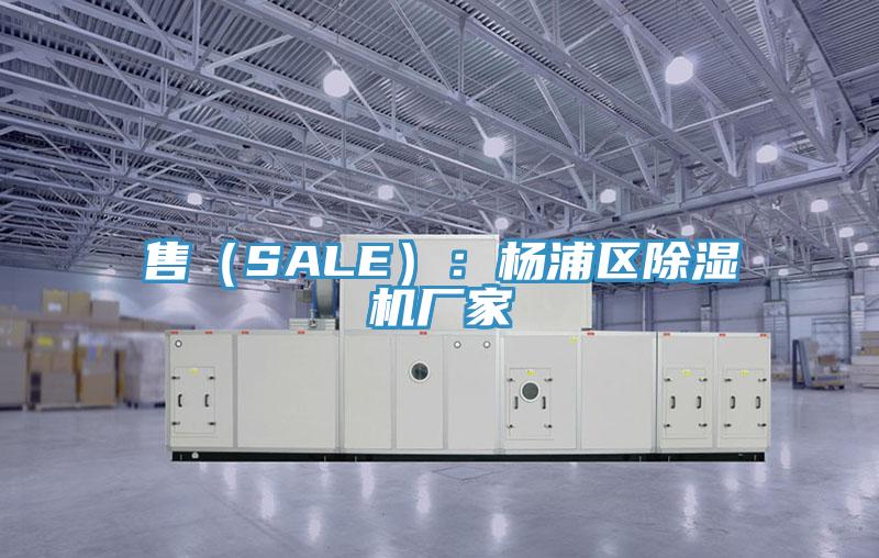 售（SALE）：杨浦区抖音成人版下载厂家