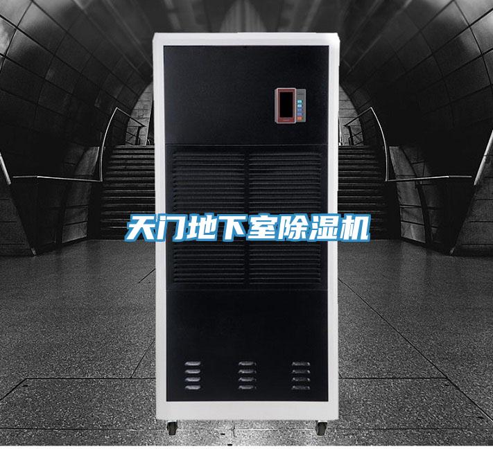 天门地下室抖音成人版下载