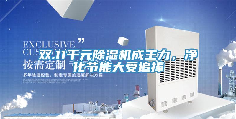 双.11千元抖音成人版下载成主力，净化节能大受追捧