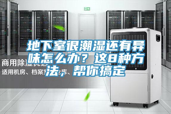 地下室很潮湿还有异味怎么办？这8种方法，帮你搞定