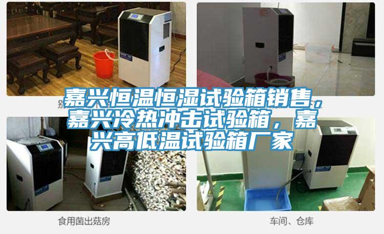 嘉兴恒温恒湿试验箱销售，嘉兴冷热冲击试验箱，嘉兴高低温试验箱厂家