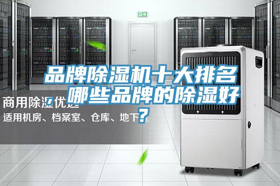 品牌抖音成人版下载十大排名，哪些品牌的除湿好？