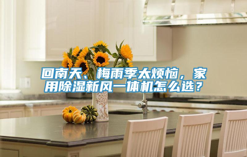 回南天、梅雨季太烦恼，家用除湿新风一体机怎么选？