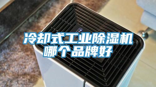 冷却式工业抖音成人版下载哪个品牌好