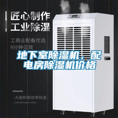 地下室抖音成人版下载，配电房抖音成人版下载价格