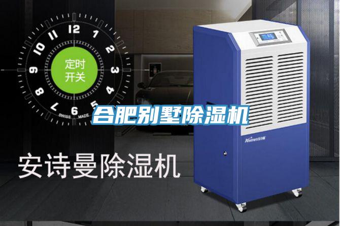 合肥别墅抖音成人版下载