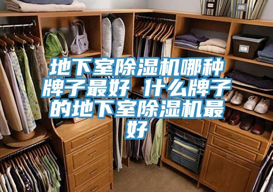 地下室抖音成人版下载哪种牌子最好 什么牌子的地下室抖音成人版下载最好