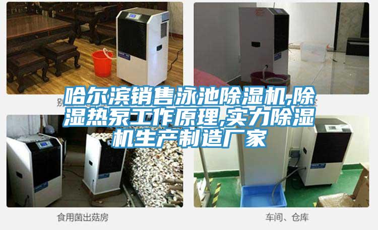 哈尔滨销售泳池抖音成人版下载,除湿热泵工作原理,实力抖音成人版下载生产制造厂家