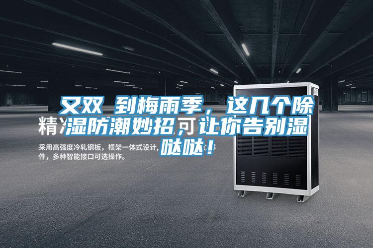 又双叒到梅雨季，这几个除湿防潮妙招，让你告别湿哒哒！