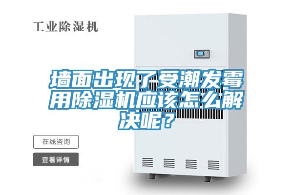 墙面出现了受潮发霉用抖音成人版下载应该怎么解决呢？