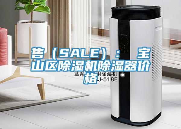 售（SALE）： 宝山区抖音成人版下载除湿器价格