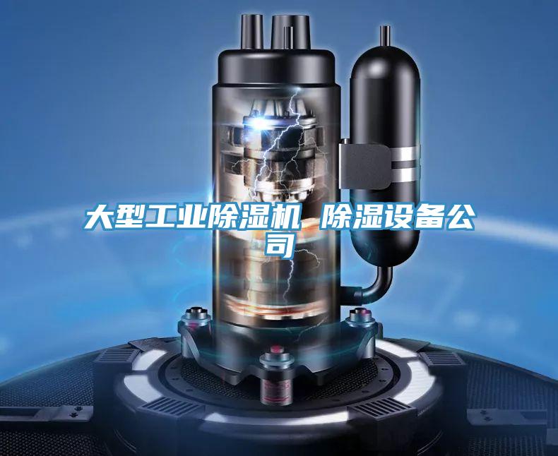 大型工业抖音成人版下载 除湿设备公司