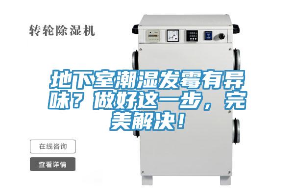地下室潮湿发霉有异味？做好这一步，完美解决！
