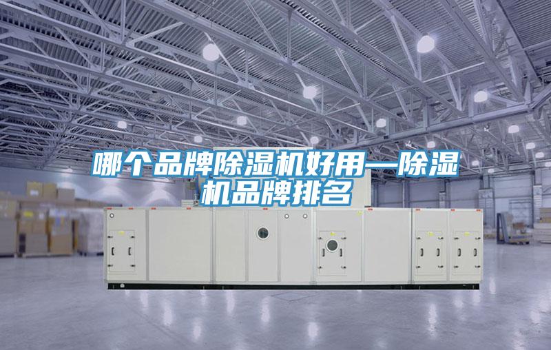 哪个品牌抖音成人版下载好用—抖音成人版下载品牌排名