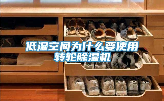 低湿空间为什么要使用转轮抖音成人版下载