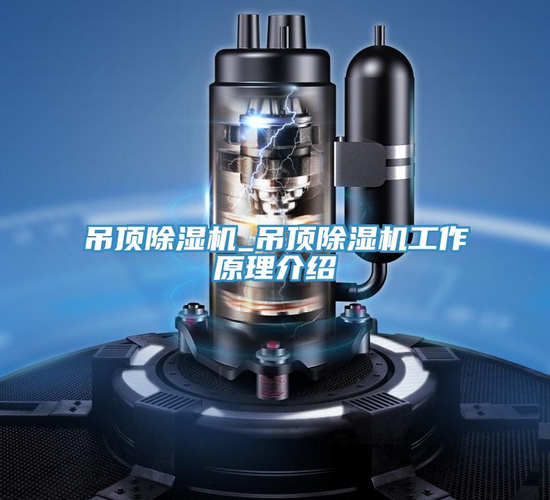 吊顶抖音成人版下载_吊顶抖音成人版下载工作原理介绍