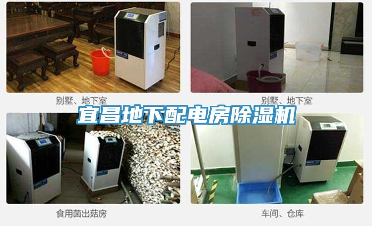 宜昌地下配电房抖音成人版下载