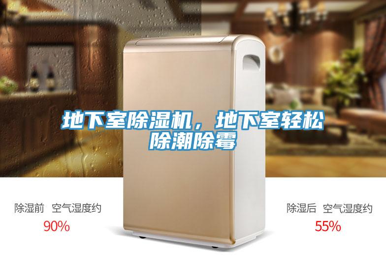 地下室抖音成人版下载，地下室轻松除潮除霉